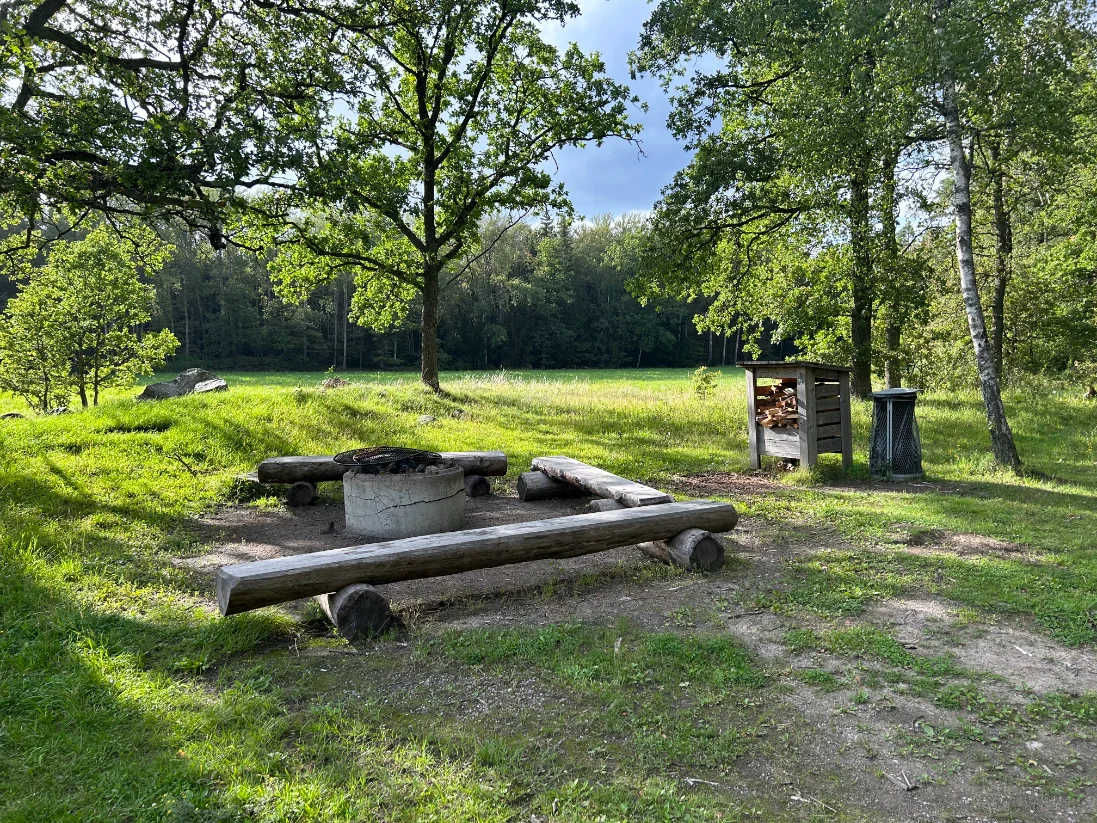 Grön park med träd och en picknickbänk.